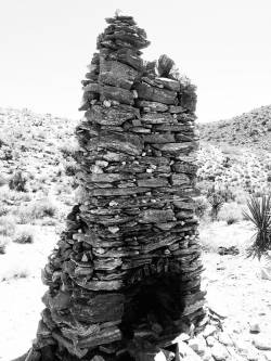 Until We Find the Hive